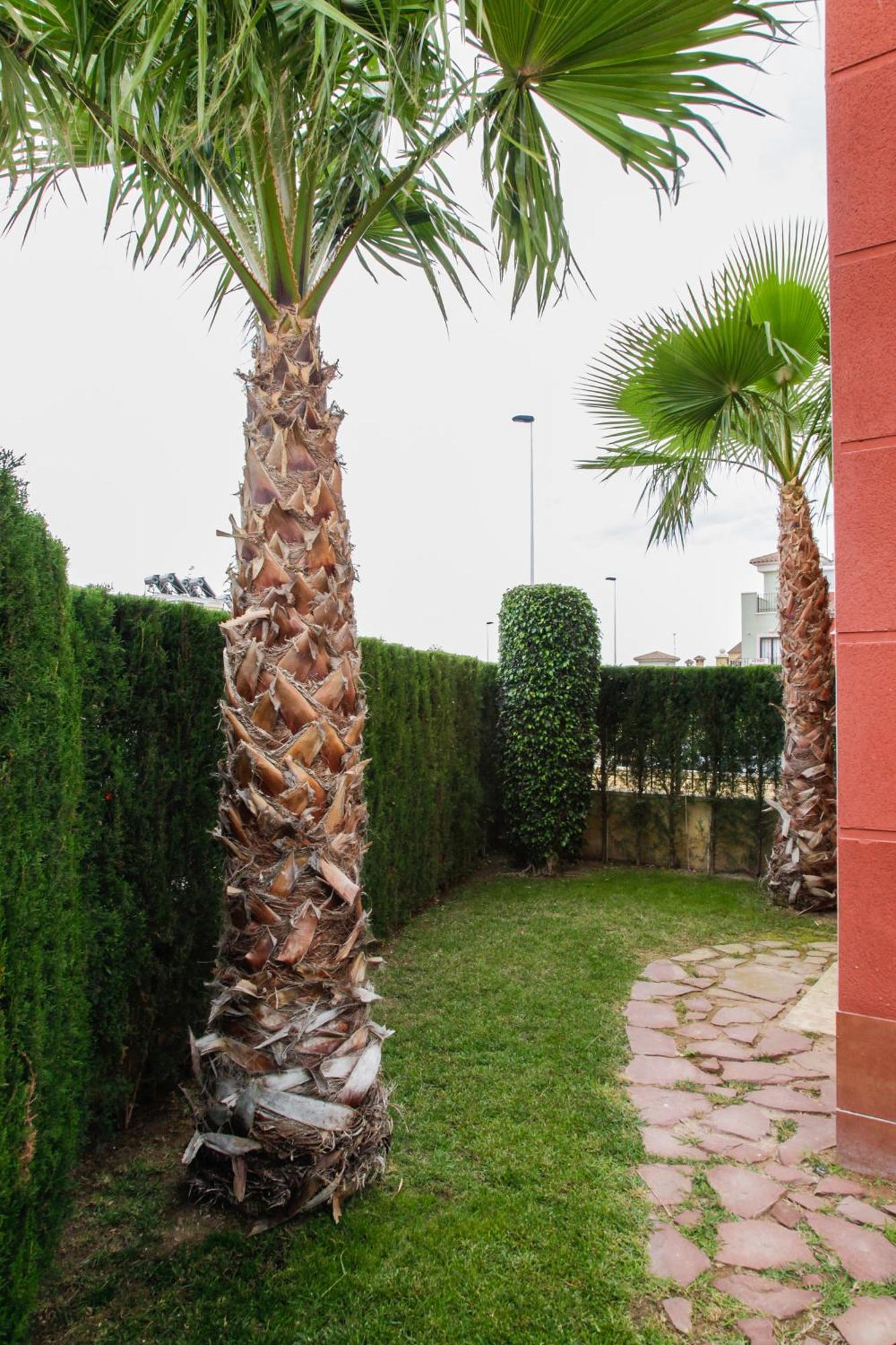 Apartment Altos De La Bahia X Торрев'єха Номер фото