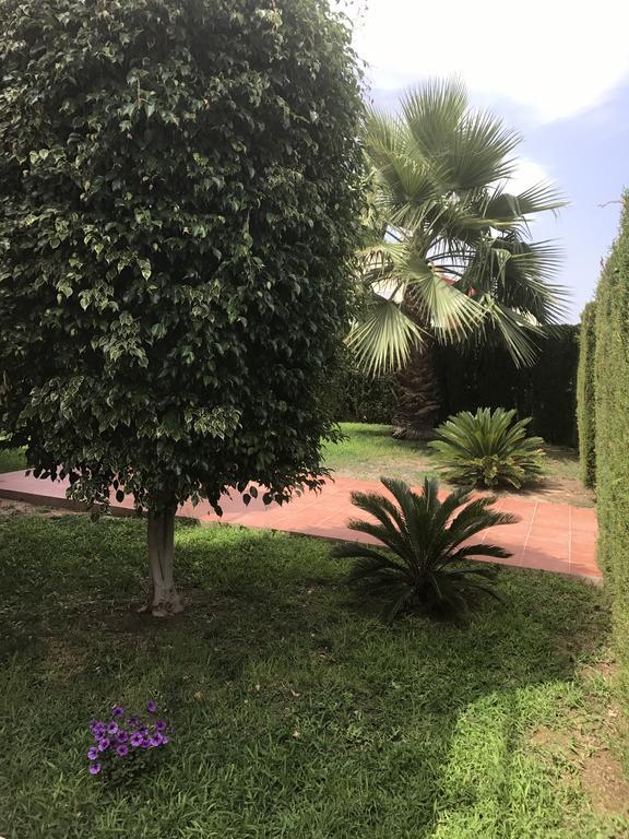 Apartment Altos De La Bahia X Торрев'єха Екстер'єр фото